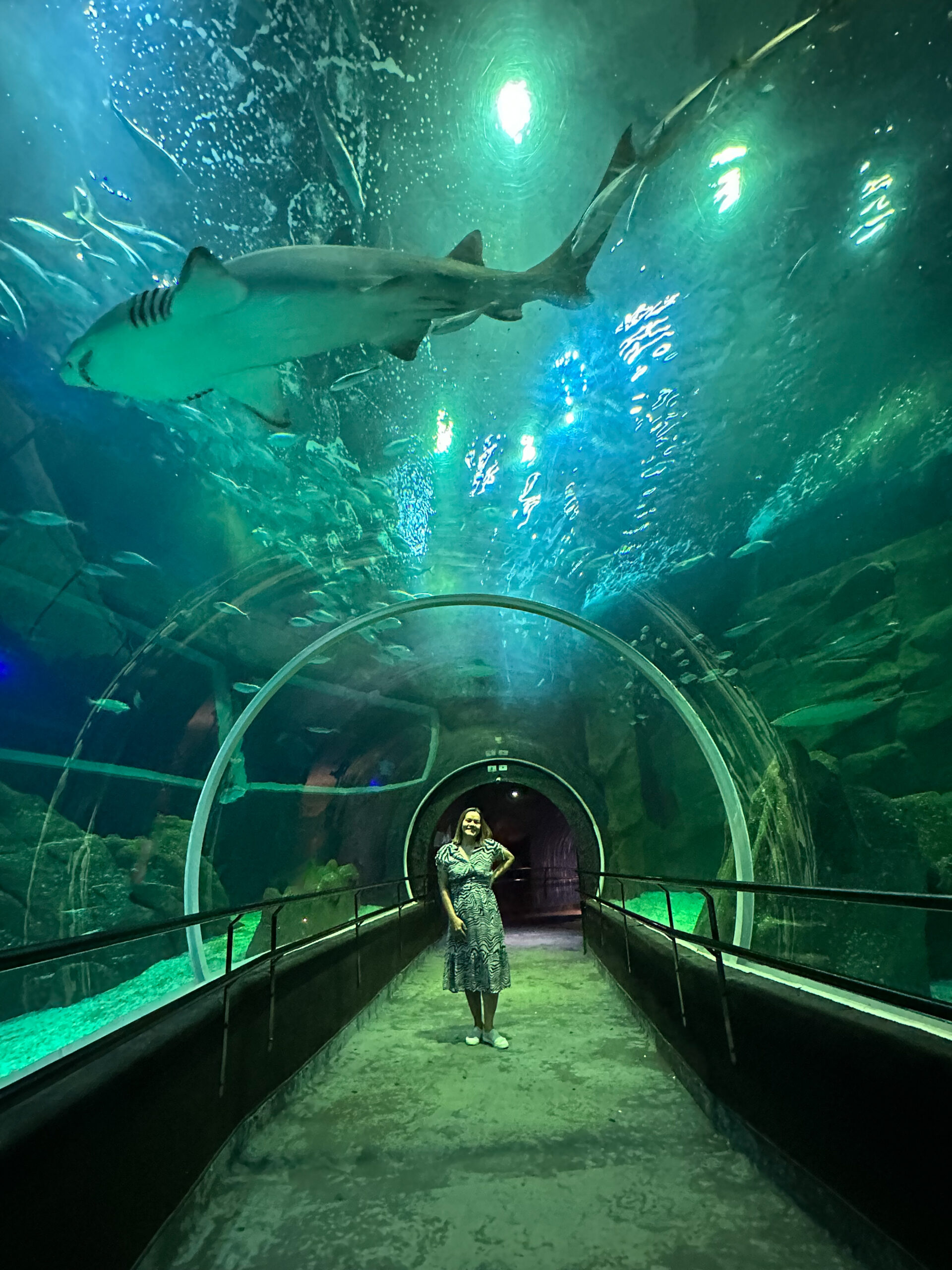 IMG_0219